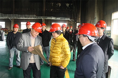 2012年1月31日，時任嘉興市委書記魯俊率領(lǐng)市發(fā)改委等市級部門負責(zé)人到公司調(diào)研